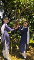 Students tying tying raki on trees